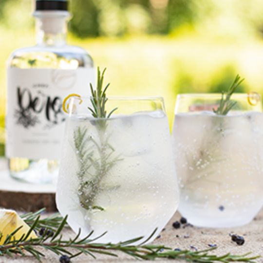 HUGS - LONDON DRY GIN – Distillery Cutura